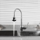 Смеситель для кухни с гибким изливом и режимом душ FRUD R42055-3, хром