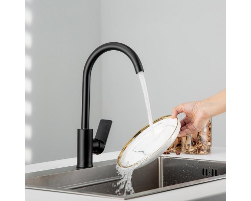 Смеситель для кухни FRUD R42158-6, черный