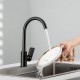 Смеситель для кухни FRUD R42158-6, черный