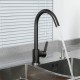 Смеситель для кухни FRUD R42052-11, графит
