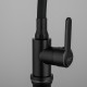 Смеситель для кухни с гибким изливом FRUD R42052-32, черный