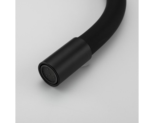 Смеситель для кухни с гибким изливом FRUD R42052-32, черный