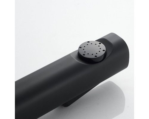 Гигиенический душ со смесителем Shevanik S9605H-1, черный
