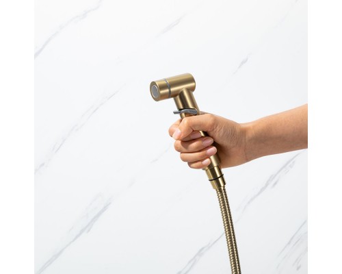 Гигиенический душ со смесителем и полочкой FRAP F2075-3, золотой сатин
