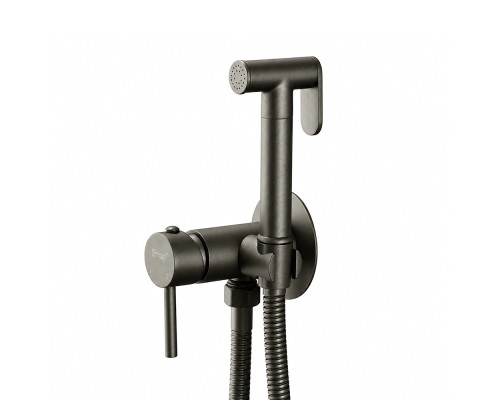 Гигиенический душ со смесителем FRAP F7505-9, графит
