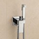 Гигиенический душ со смесителем FRAP F7506, хром