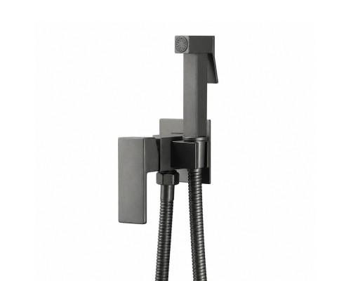 Гигиенический душ со смесителем FRAP F7506-9, оружейная сталь