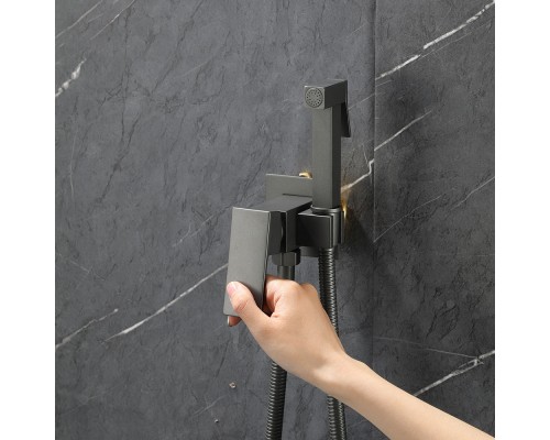 Гигиенический душ со смесителем FRAP F7506-9, оружейная сталь