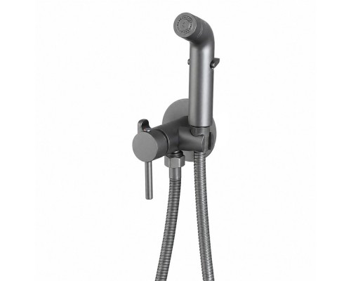 Гигиенический душ со смесителем FRUD R7505-9, оружейная сталь