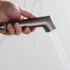 Гигиенический душ со смесителем FRAP F7586-29, оружейная сталь
