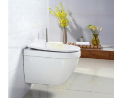 [520367] Унитаз подвесной BelBagno UNO, безободковый, сиденье soft close, белый, BB3105CHR/SC +8520 ₽