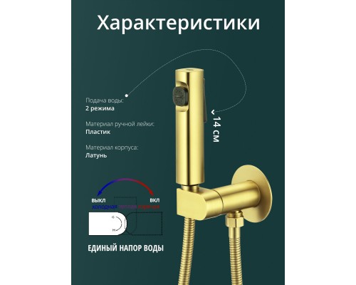 Смеситель с гигиеническим душем встраиваемый с прогрессивным картриджем WaterHouse (золото) Смеситель с гигиеническим душем встраиваемый с прогрессивным картриджем WaterHouse (золото)