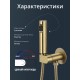 Смеситель с гигиеническим душем встраиваемый с прогрессивным картриджем WaterHouse (матовое золото)