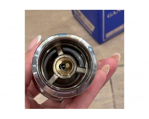 Донный клапан с переливом 1*1/4 Ganzer F-2 хром Донный клапан с переливом 1*1/4 Ganzer F-2 хром