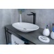 Раковина Gid N9022 51110 накладная белая 50x35x9