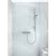 Душевой шланг Grohe Silverflex с защитой от перегибов 1750 мм (хром) 28388000, Relexa Plus