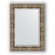 Зеркало в багетной раме Evoform Exclusive BY 1126 53 x 73 см, серебряный бамбук