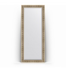 Зеркало в багетной раме Evoform Exclusive Floor BY 6121 82 x 202 см, серебряный акведук