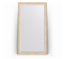 Зеркало в багетной раме Evoform Exclusive Floor BY 6150, 110 x 200 см, старый гипс