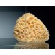 Душевой уголок Cezares SLIDER-R-2-90/100-C-Cr, 90/100 х 90/100 х 195 см, профиль хром, стекло прозрачное