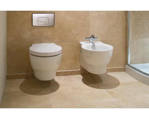 Подвесной унитаз Jacob Delafon Ove в комплекте с сиденьем E70005 SoftClose, E1585-00 (GM)