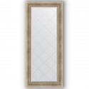 Зеркало с гравировкой в багетной раме Evoform Exclusive-G BY 4153 67 x 157 см, серебряный акведук