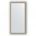 Зеркало в багетной раме Evoform Definite BY 0691 48 x 98 см, витое серебро