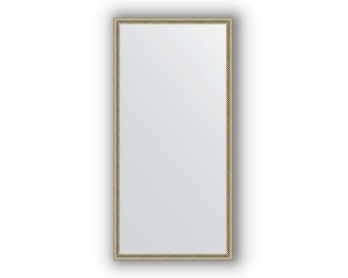 Зеркало в багетной раме Evoform Definite BY 0691 48 x 98 см, витое серебро