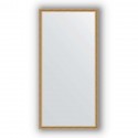 Зеркало в багетной раме Evoform Definite BY 0692 48 x 98 см, витое золото