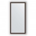 Зеркало в багетной раме Evoform Definite BY 0693 48 x 98 см, витой махагон