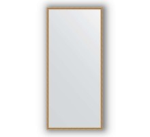 Зеркало в багетной раме Evoform Definite BY 0760 68 x 148 см, витое золото