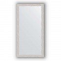 Зеркало в багетной раме Evoform Definite BY 3069 51 x 101 см, серебряный дождь