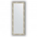 Зеркало в багетной раме Evoform Definite BY 3108 54 x 144 см, алюминий