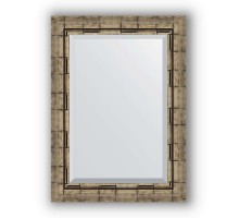 Зеркало в багетной раме Evoform Exclusive BY 1126 53 x 73 см, серебряный бамбук