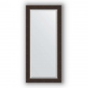 Зеркало в багетной раме Evoform Exclusive BY 1144 51 x 111 см, палисандр