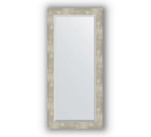 Зеркало в багетной раме Evoform Exclusive BY 1149 51 x 111 см, алюминий