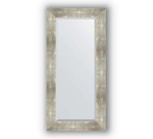 Зеркало в багетной раме Evoform Exclusive BY 1150 56 x 116 см, алюминий