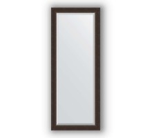 Зеркало в багетной раме Evoform Exclusive BY 1164 56 x 141 см, палисандр