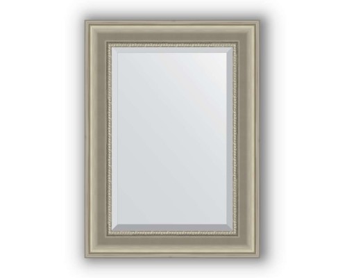Зеркало в багетной раме Evoform Exclusive BY 1225 56 x 76 см, хамелеон