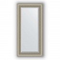 Зеркало в багетной раме Evoform Exclusive BY 1245 56 x 116 см, хамелеон