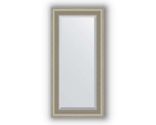 Зеркало в багетной раме Evoform Exclusive BY 1245 56 x 116 см, хамелеон