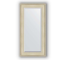 Зеркало в багетной раме Evoform Exclusive BY 1246 58 x 118 см, травленое серебро