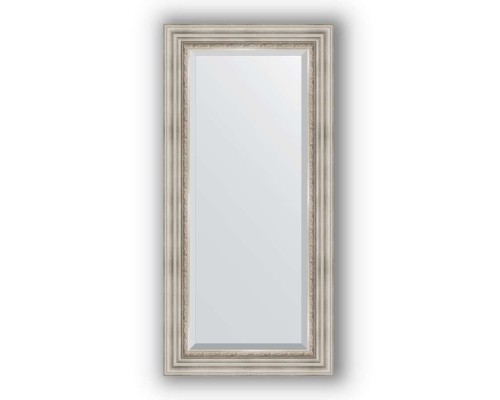 Зеркало в багетной раме Evoform Exclusive BY 1247 56 x 116 см, римское серебро