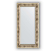 Зеркало в багетной раме Evoform Exclusive BY 1248 57 x 117 см, серебряный акведук
