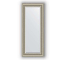 Зеркало в багетной раме Evoform Exclusive BY 1255 56 x 136 см, хамелеон