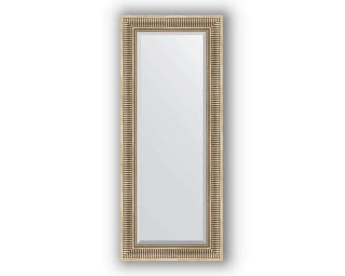 Зеркало в багетной раме Evoform Exclusive BY 1258 57 x 137 см, серебряный акведук