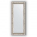 Зеркало в багетной раме Evoform Exclusive BY 1267 61 x 146 см, римское серебро