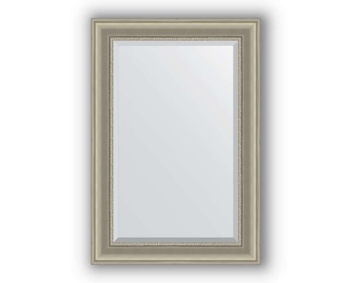 Зеркало в багетной раме Evoform Exclusive BY 1275 66 x 96 см, хамелеон
