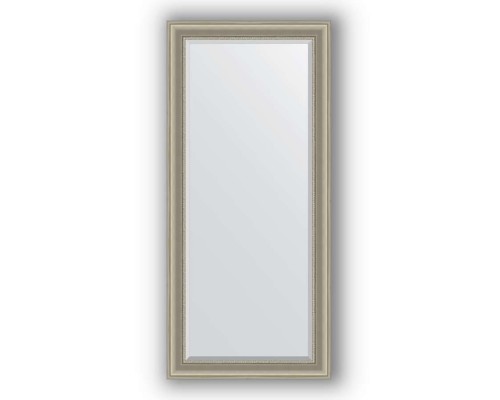 Зеркало в багетной раме Evoform Exclusive BY 1305 76 x 166 см, хамелеон