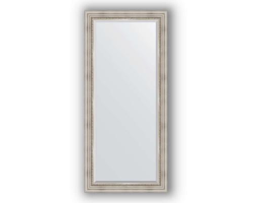 Зеркало в багетной раме Evoform Exclusive BY 1307 76 x 166 см, римское серебро